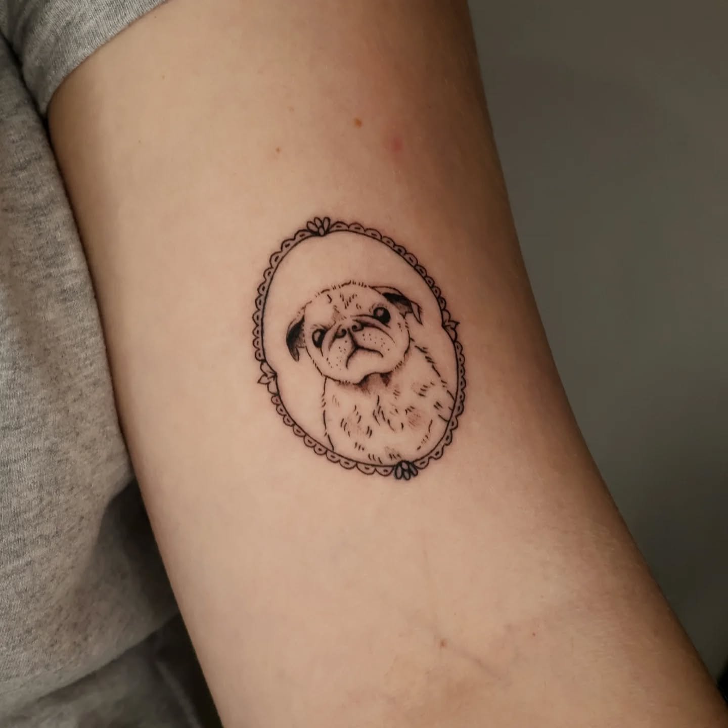 A lil vintage pet portrait for N, in honor of sweet Fred. Thank you for your trust on this memento N! 
.
#pettattoo #vintageframetattoo #animaltattoo #nyctattoo #brooklyntattoo