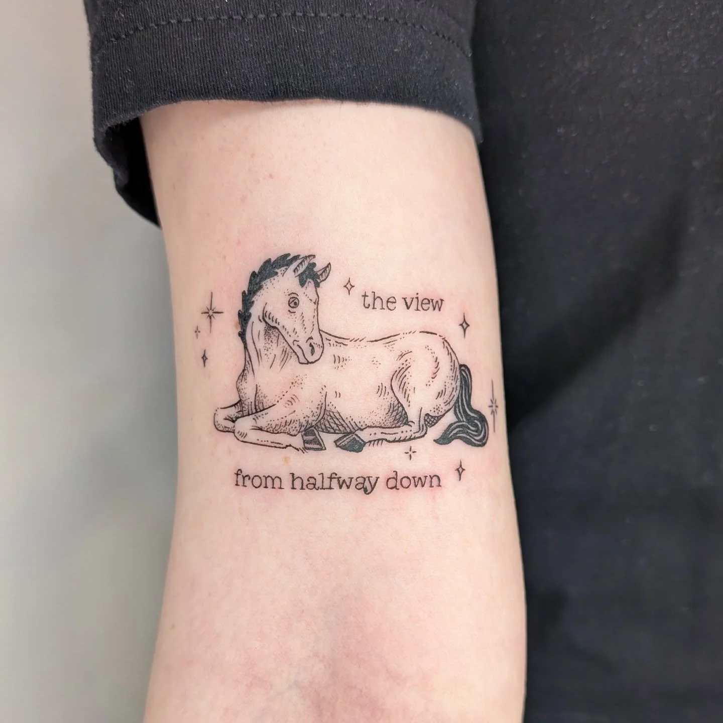 Such a fun custom, of Bojack Horseman as a vintage horse!! Thank you so much for letting me do this one for you Caitlin!!
.
#bojacktattoo #bojackhorseman #vintageillustrationtattoo #nyctattoo