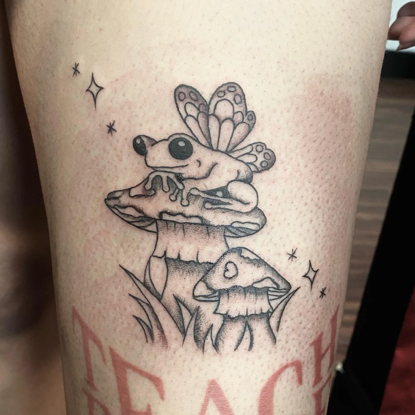 ✧*:･ﾟ( ̲̅:̲̅:̲̅:̲̅[̲̅ ̲̅]̲̅:̲̅:̲̅:̲̅ )*:･ﾟ✧*
fairy frog 4 leah <3