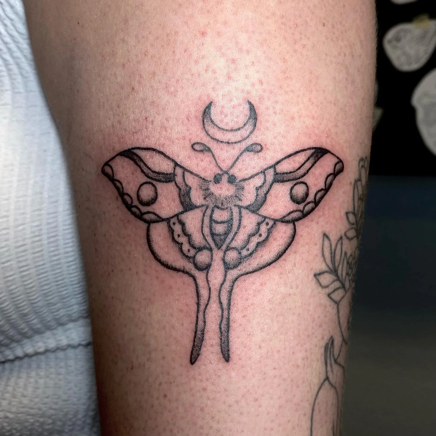 ✧*:･ﾟ( ̲̅:̲̅:̲̅:̲̅[̲̅ ̲̅]̲̅:̲̅:̲̅:̲̅ )*:･ﾟ✧
Traditional moon moth for lovely faith
