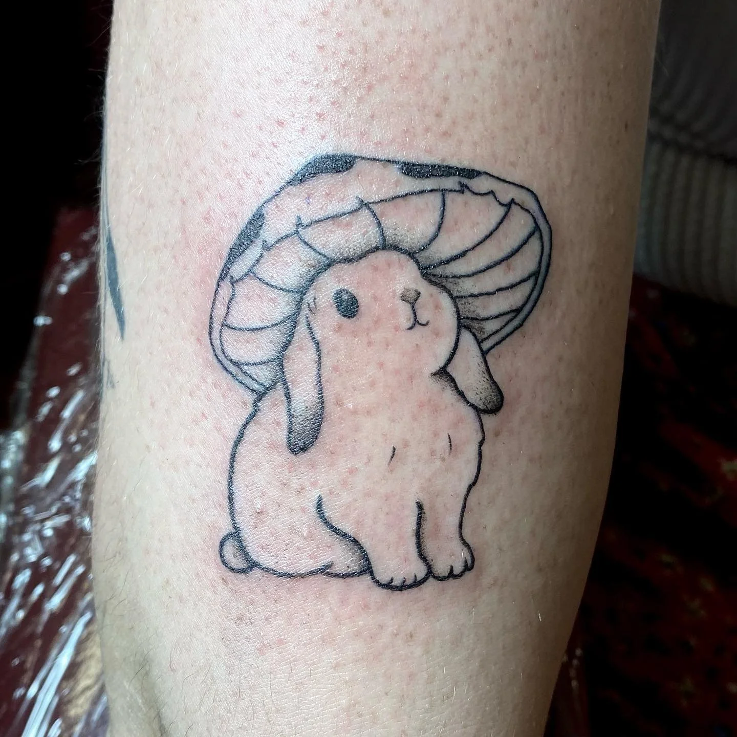 ✧*:･ﾟ( ̲̅:̲̅:̲̅:̲̅[̲̅ ̲̅]̲̅:̲̅:̲̅:̲̅ )*:･ﾟ✧
mushroom bunny for faith <3