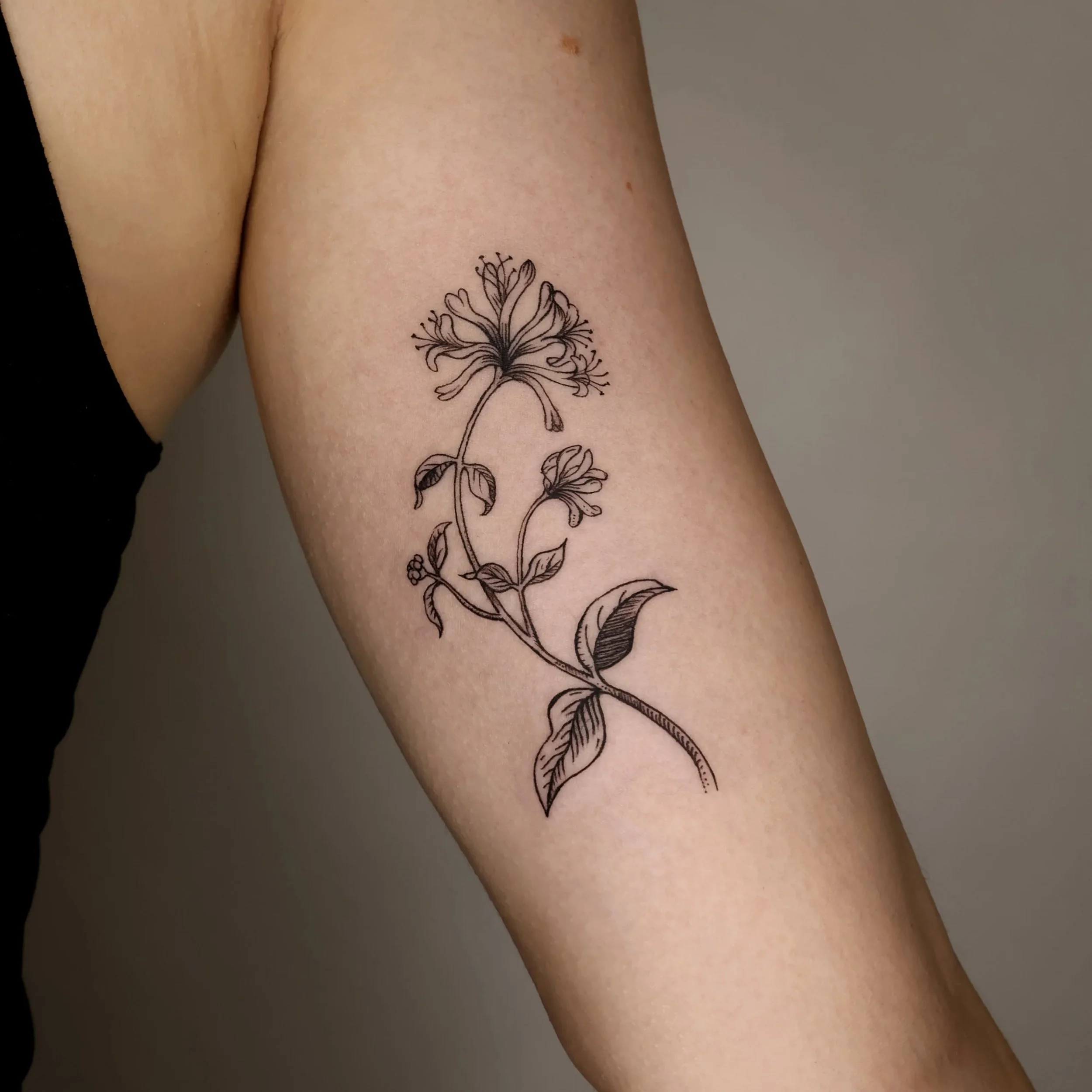 A collection of Vintage-style botanicals and semi-realism botanicals. One is usually darker with cross-hatching or stippling shading. The other has finer lines and soft shading.  Which style do you prefer?
.
#botanicaltattoo #floraltattoo #naturetatt