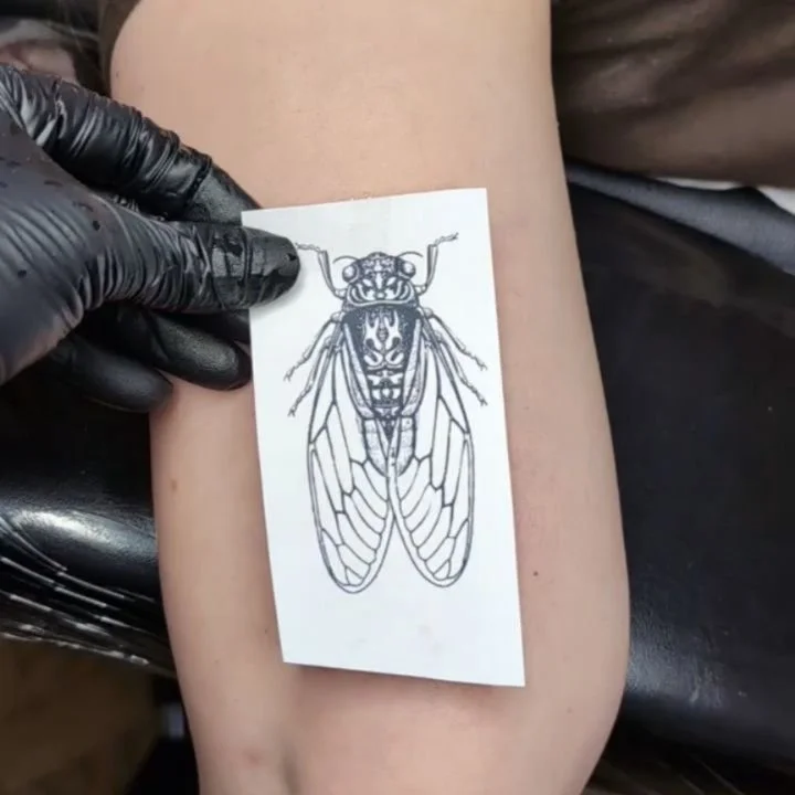 A custom vintage cicada for Logan! Love the life cycle of the cicada, and it's metaphor of hibernation, shedding and growing 🙏🏻Thanks for coming in for this one, it was lovely to meet you and this was so fun to do!!
.
#cicadatattoo #bugtattoo #natu