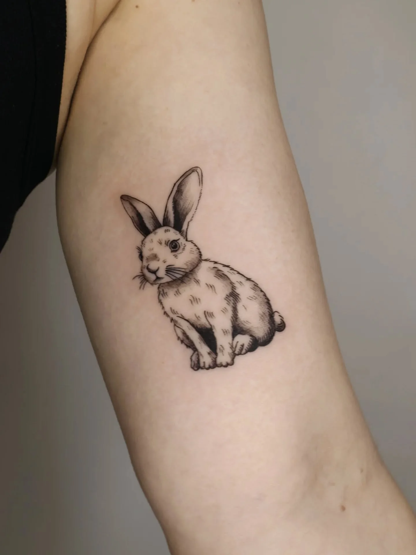 Custom vintage bunny tattoo for Erin! Honoring her newest little family member, so sweet 🥰 So lovely to work with you E!!
.
#rabbittattoo #vintageillustrationtattoo #vintagestyletattoo #illustrativetattoo #nyctattoo