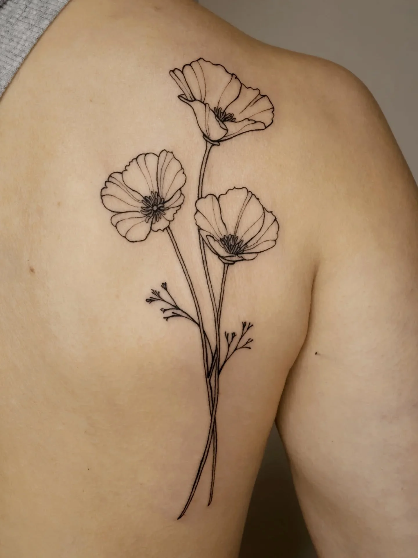 Custom poppies for Laura, with longer stems!! No shading, just linework. Love this placement for you, it's gorgeous!! Thank you for your trust Laura 🥰
.
#poppytattoo #backtattoo #floraltattoo #flowertattoo #botanicaltattoo