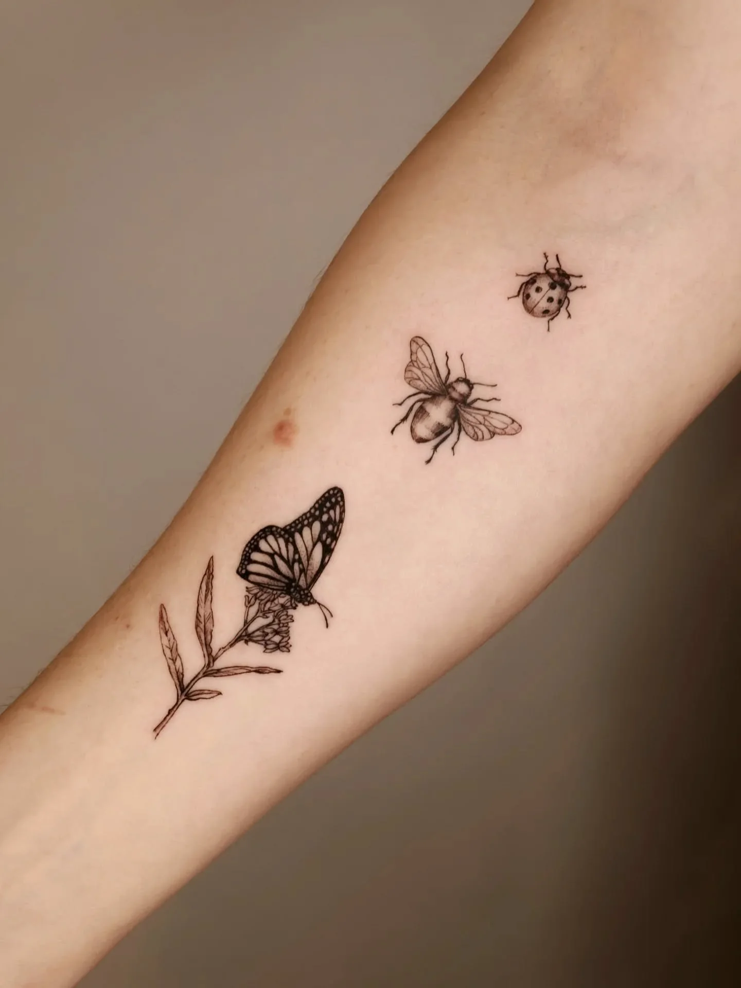 A lovely nature trio for Alice!! Thank you for your trust, I looveeed doing this scientific illustration style for you!!
.
#scientificillustration #vintageillustrationtattoo #bugtattoo #butterflytattoo #beetattoo