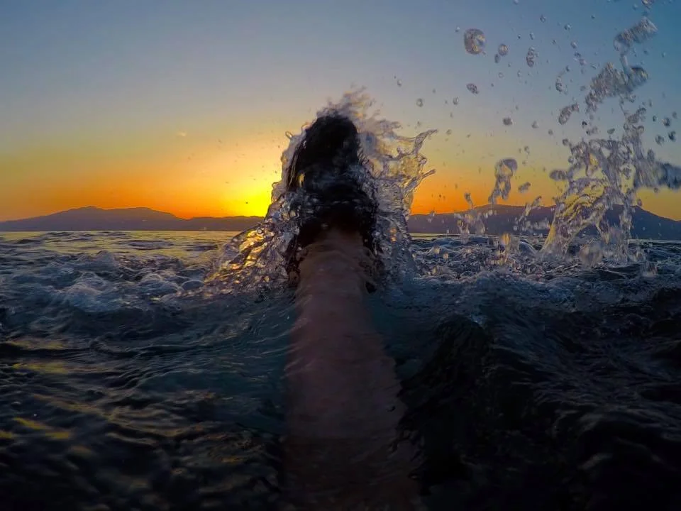 sunset wave 18274829_1025572047575352_8784572533067870925_n.jpg