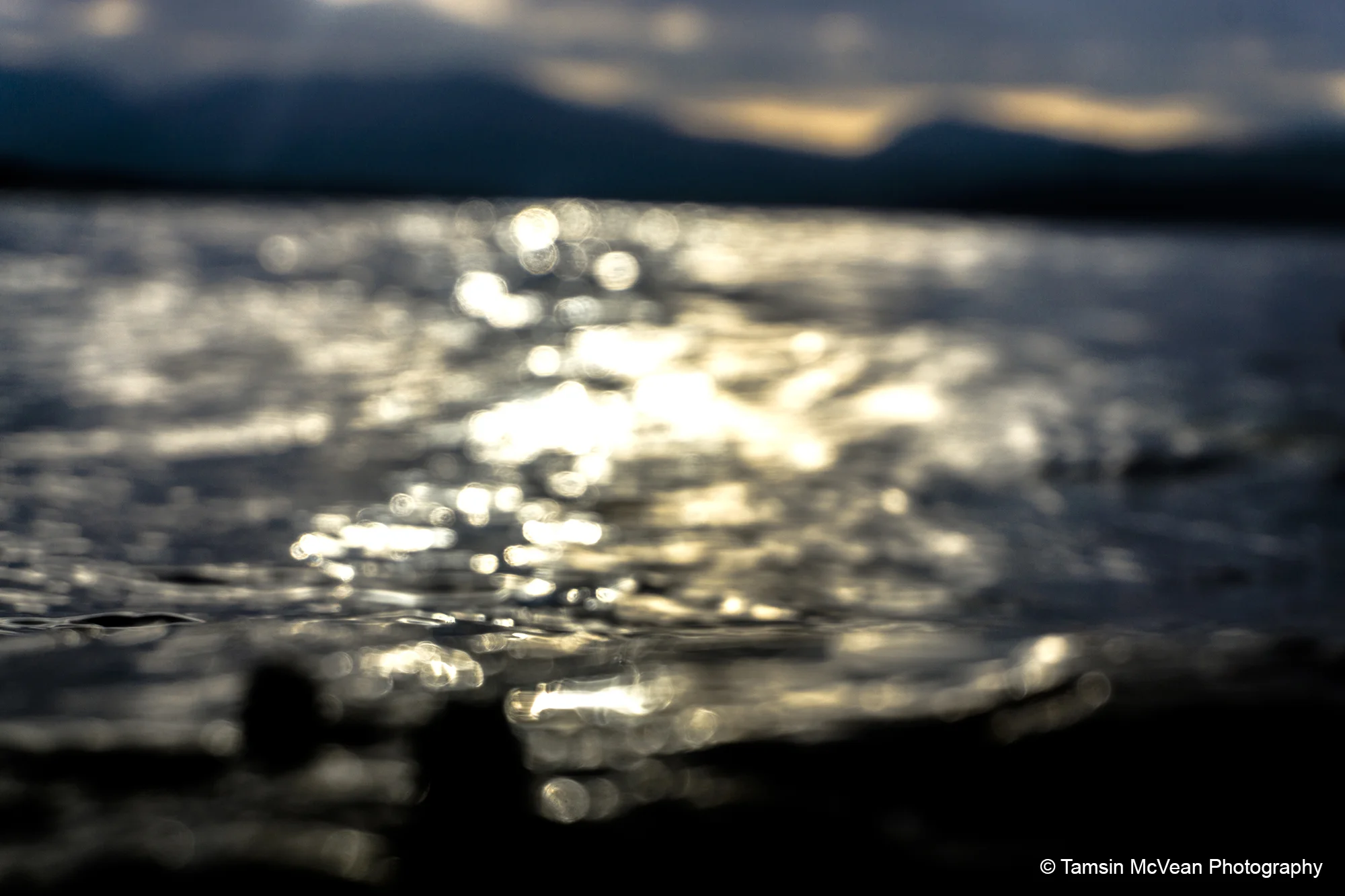 shellswatchdawn-DSC04112ed1web2k72dpi copy.jpg