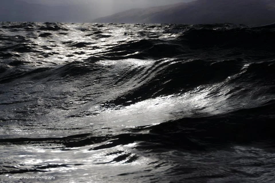 image16.jpeg