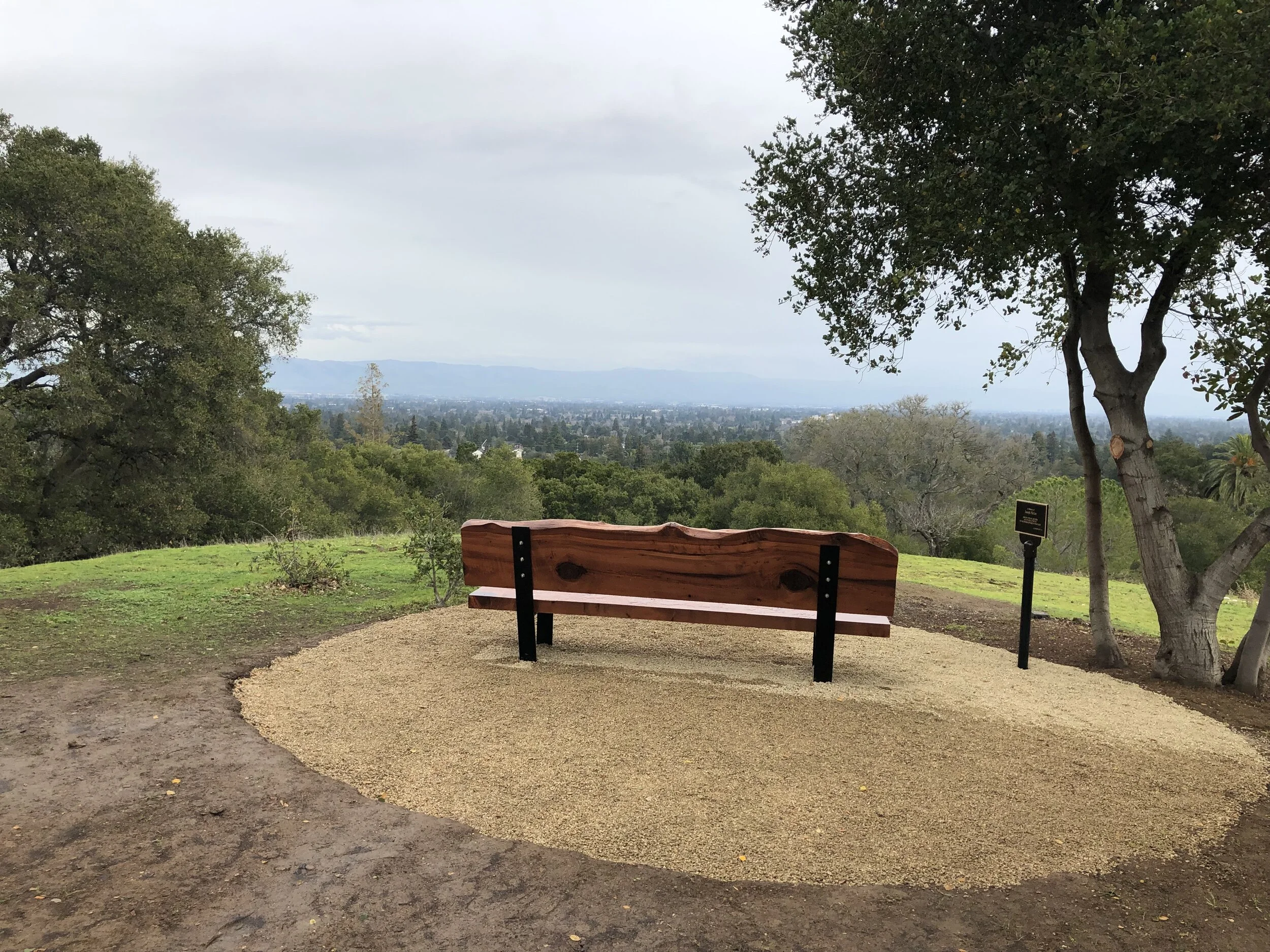 Redwood Bench 2.jpeg