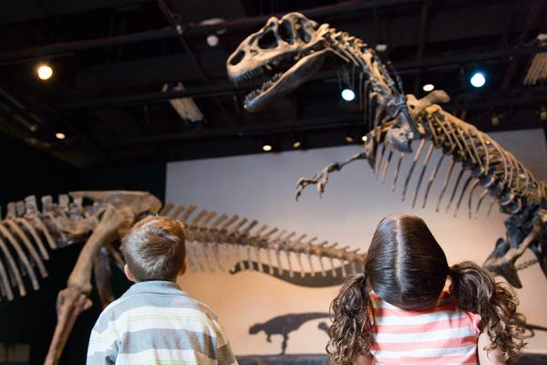 GC Science Museum Allosaurus.jpg