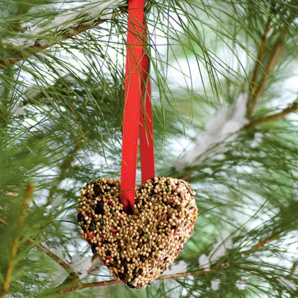 birdseed2.jpg