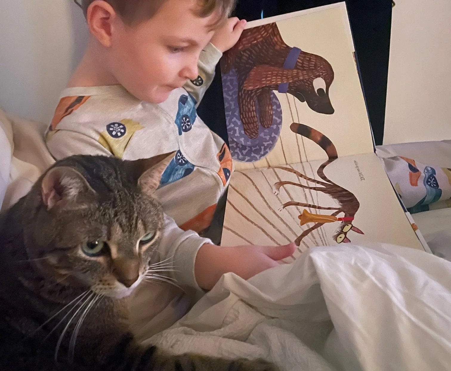 Purr-fect Cat Books for Kids