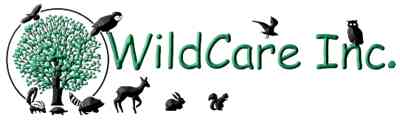 Wildcare Logo (3).jpg