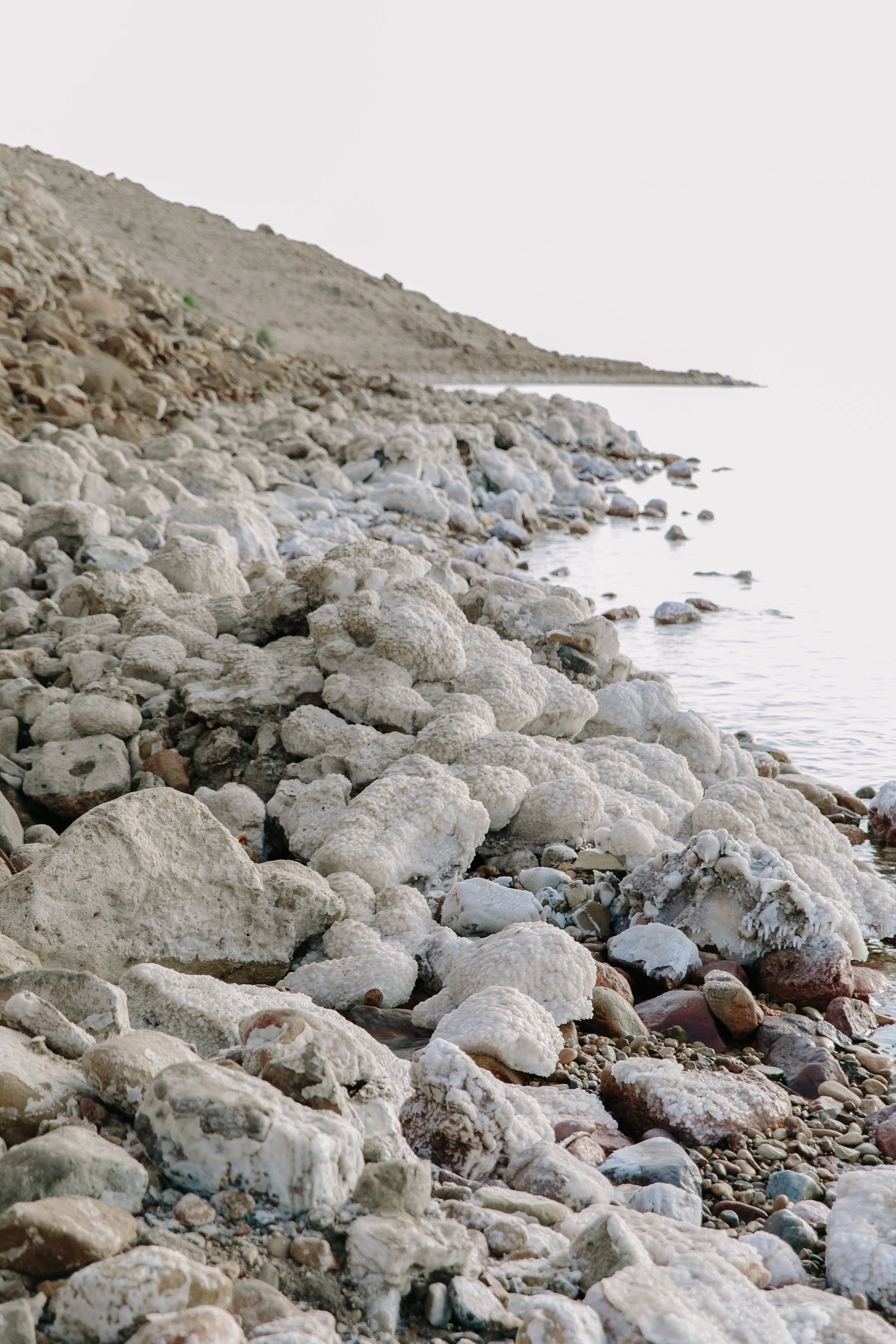 Table-Jordan2017-0730.jpg