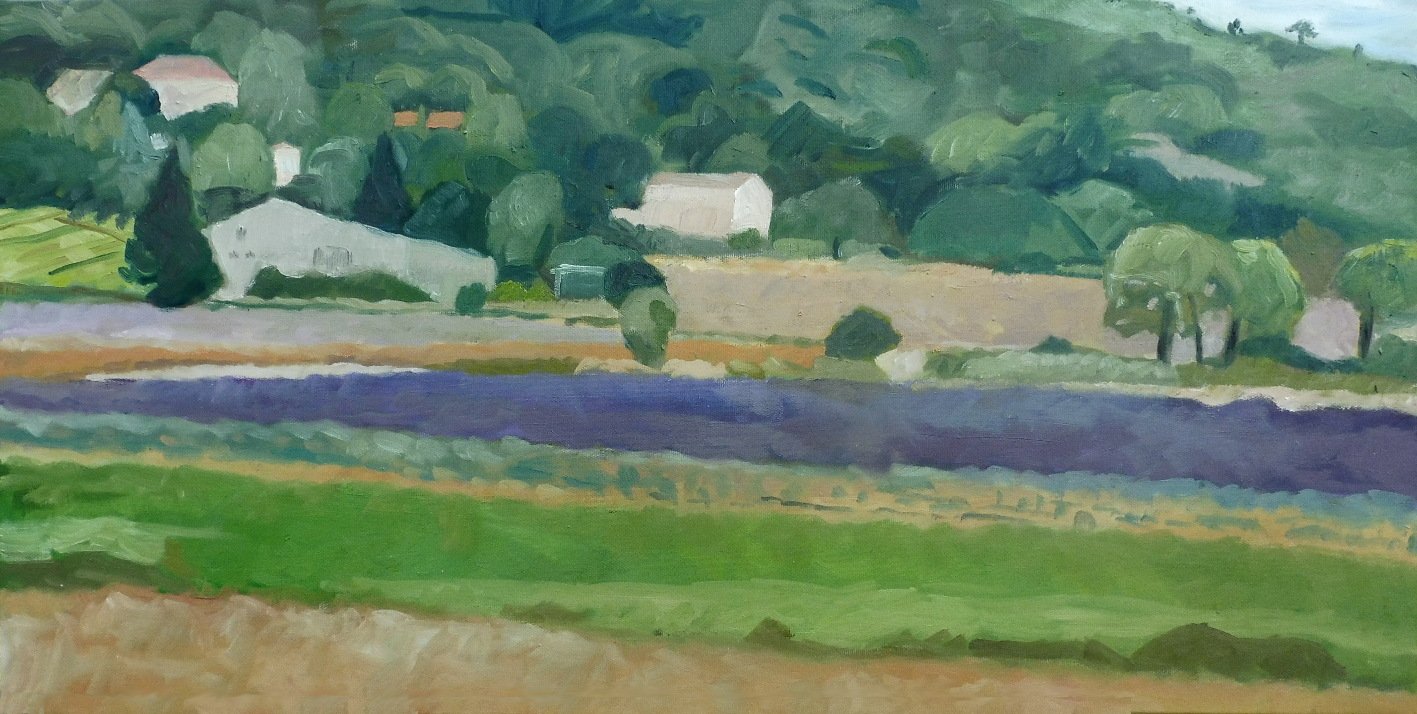 Les champs parfumés de lavande (Copy) (copie)