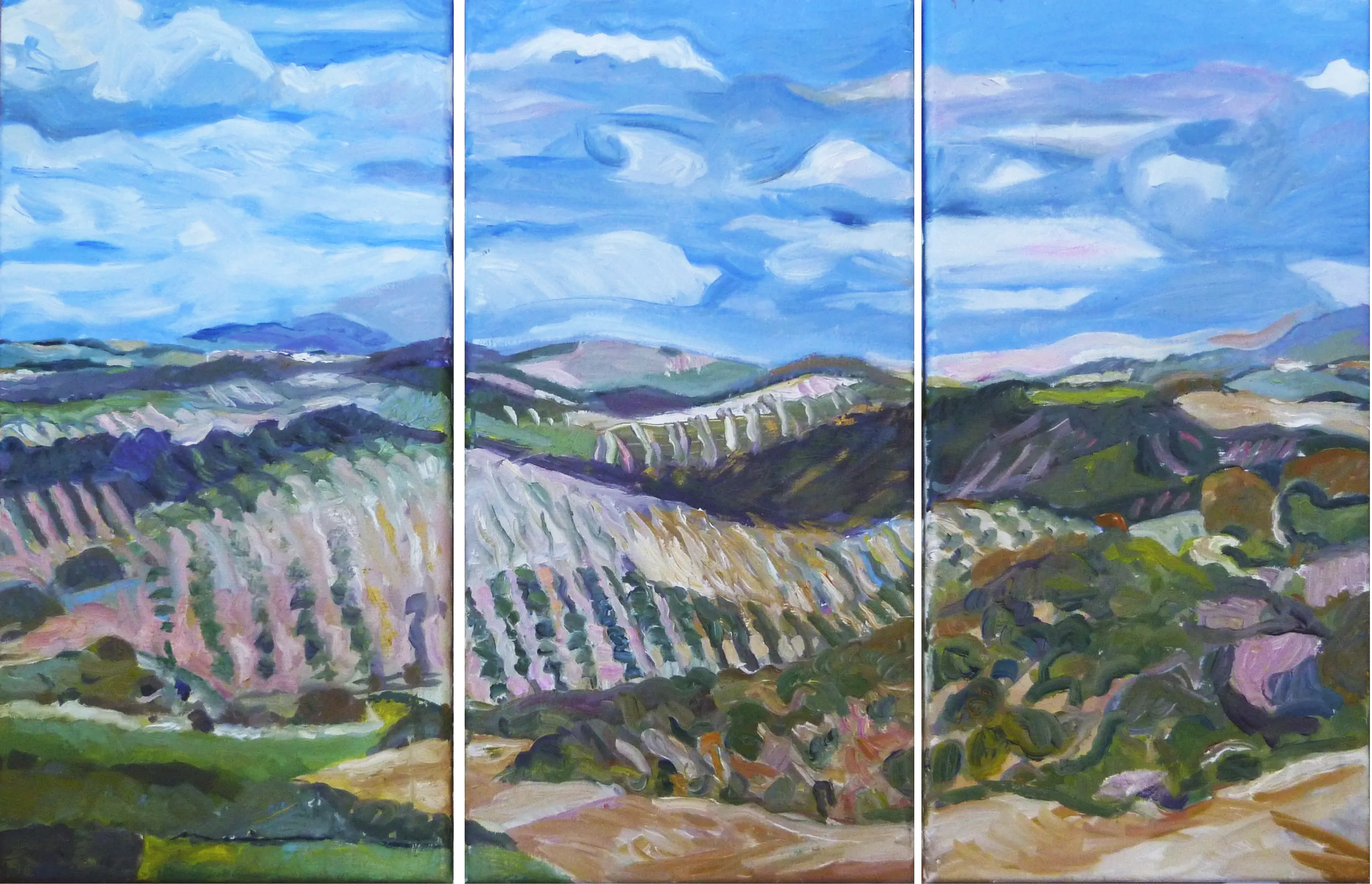 Nuages et ombres en perpétual mouvement

 

Triptych 60 x 90 cm