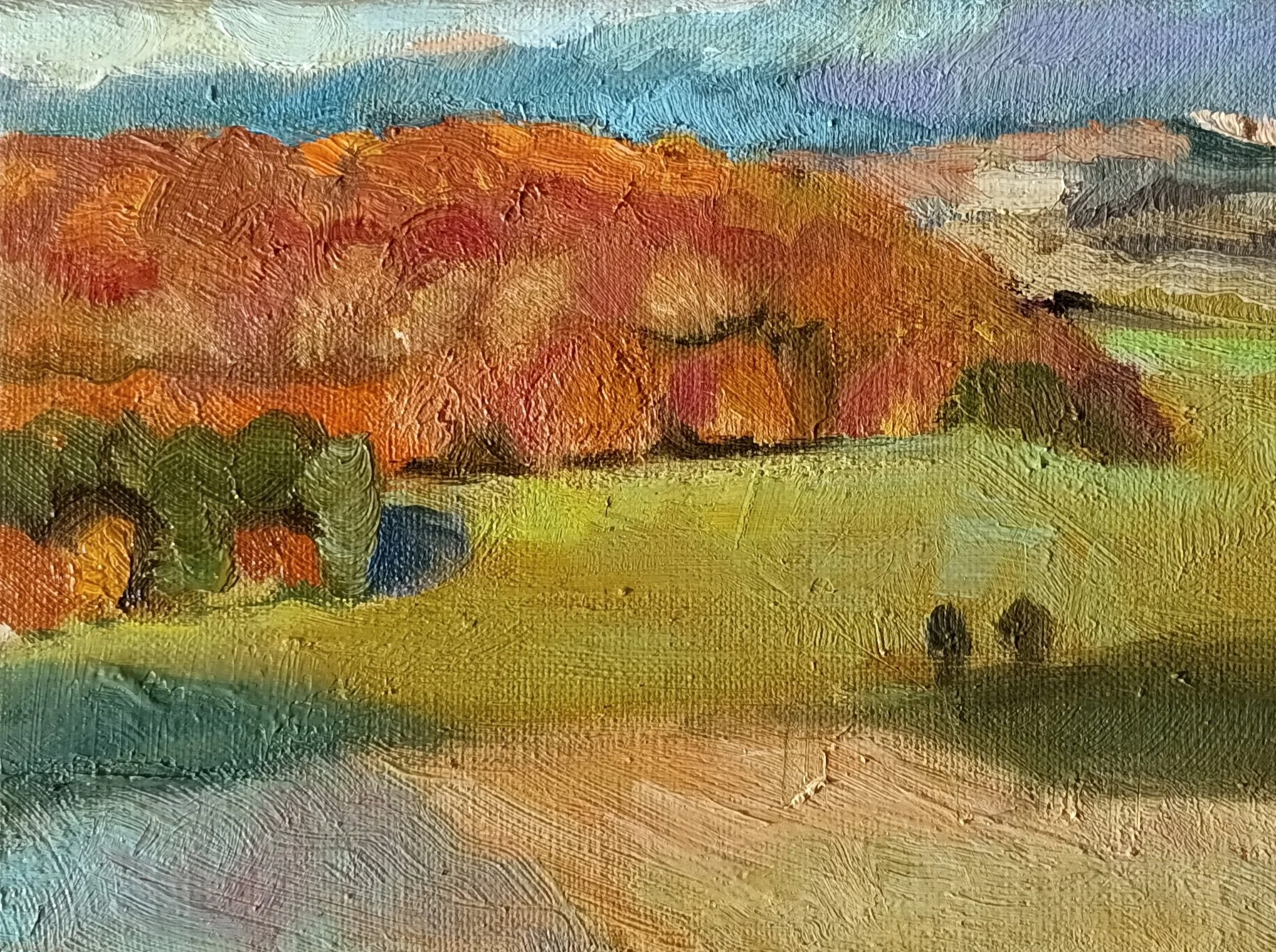 Baignée d'orange
 
16 x 22 cm