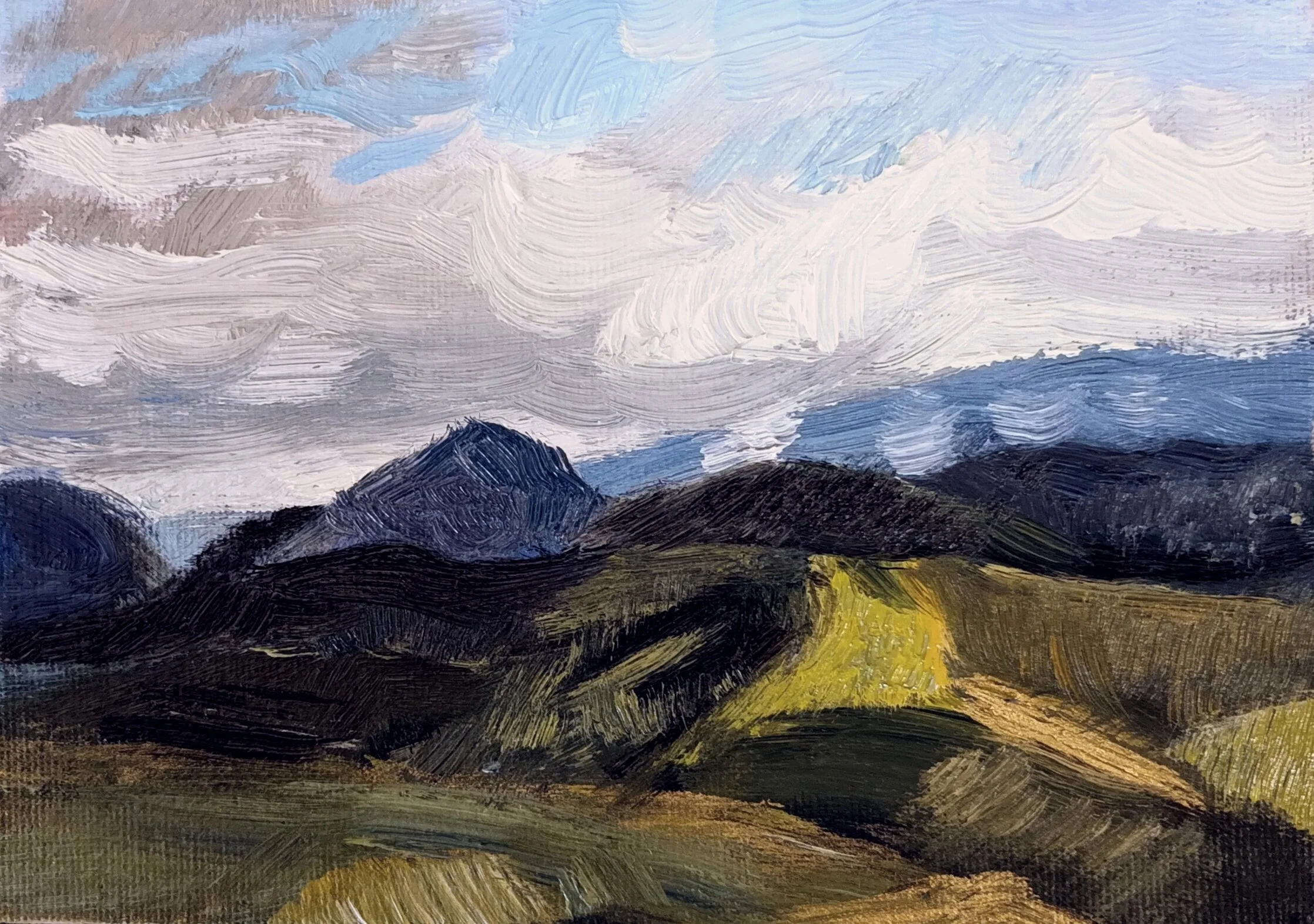 Paysage sauvage
 
12.5 x 18 cm