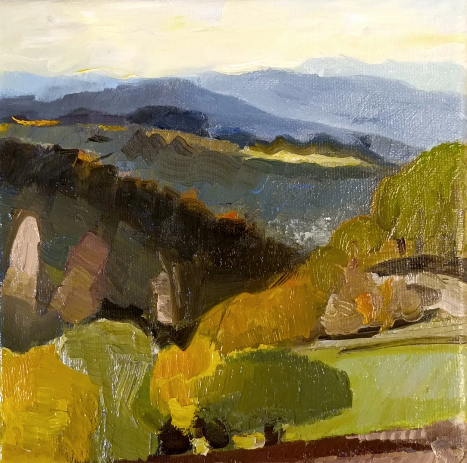 Rêverie
 
2024
 
huile sur toile
 
20 x 20 cm