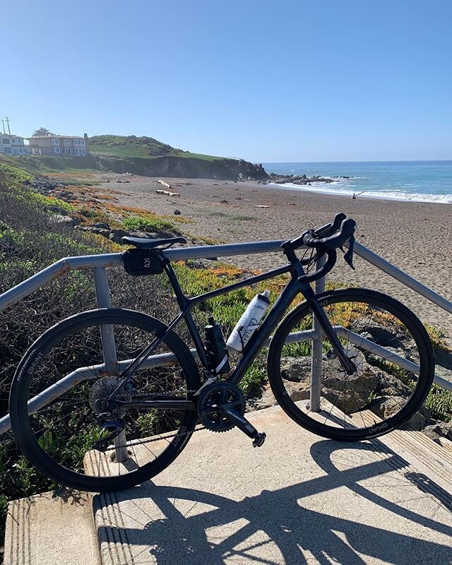 One of our favorite towns is Cambria, California. Beach + Bike + Farms + Extra large trees.  @cambria @canyonbikes