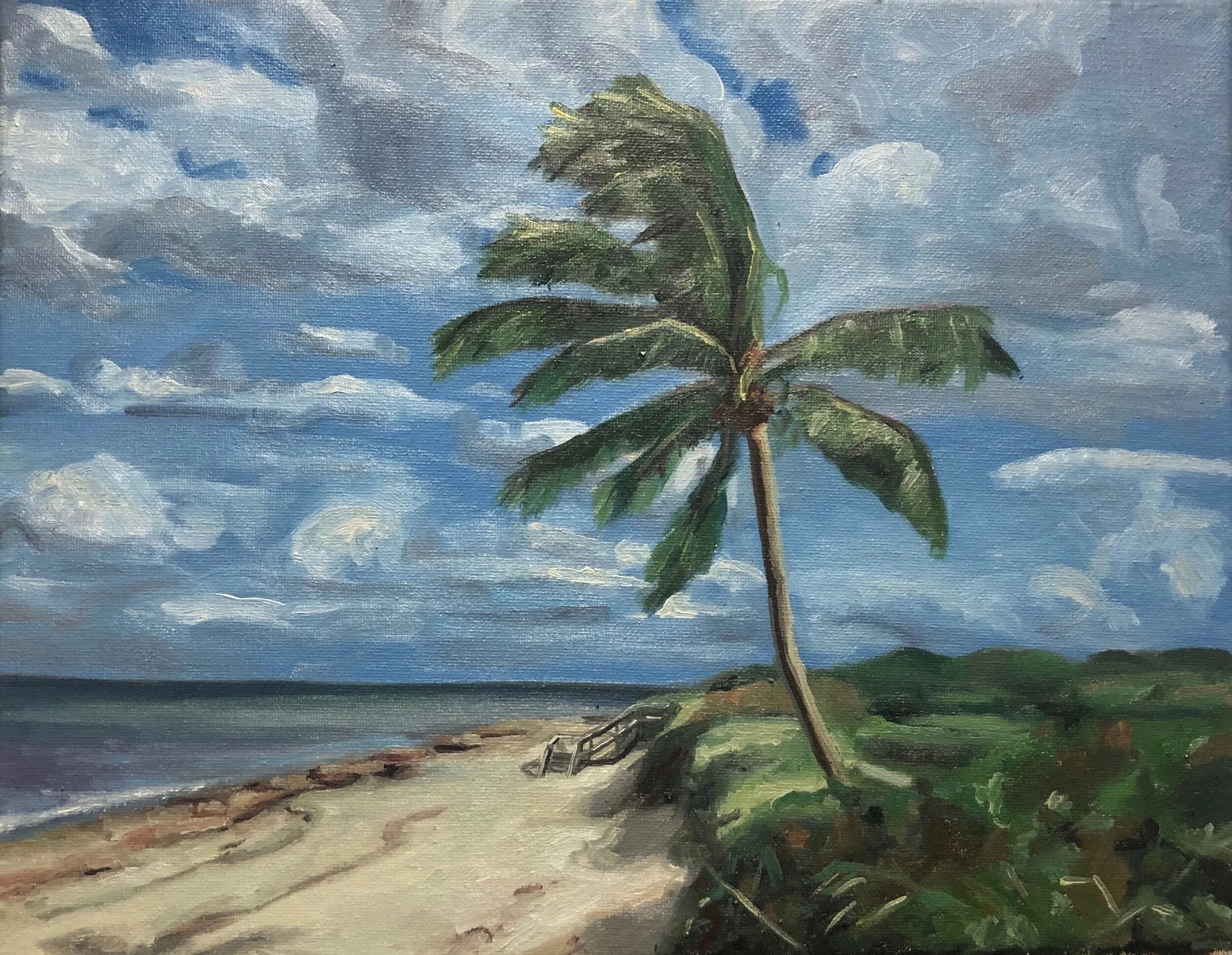 Windy Jupiter Island