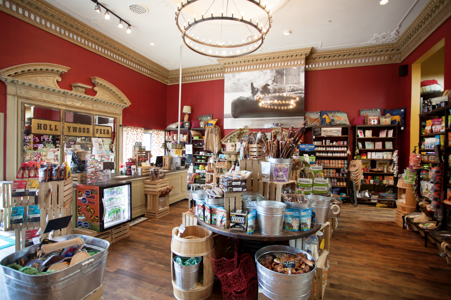 Interior deisgn for Hollywood Feed Dallas location