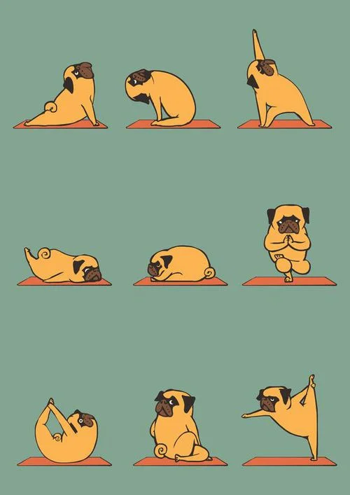 PLAYFUL YOGA - COME CUT LOOSE IN YOUR VINYASA!