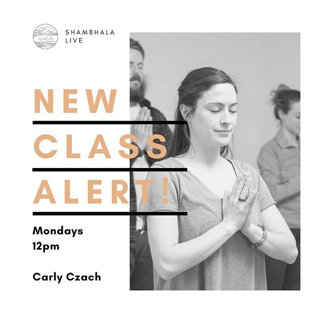 #happymonday hop on over and attend Monday&rsquo;s Midday Flow with Carly. We&rsquo;ve got new morning classes coming down the pike and can&rsquo;t wait to share them with you. Lots of love to you and your family. Stay safe!! #online #yoga #class #co