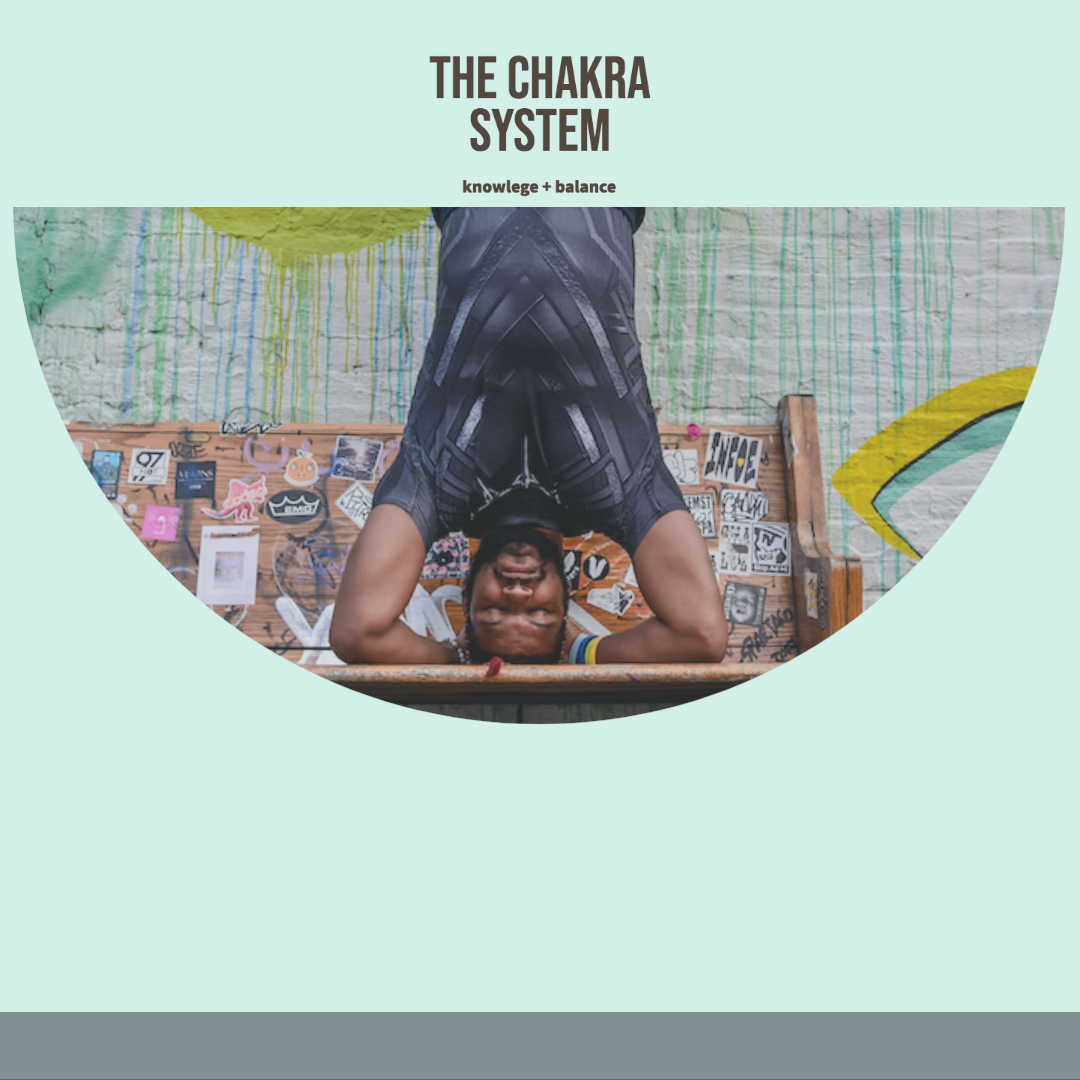 The Chakra System: Knowledge and Balance (Week 4)