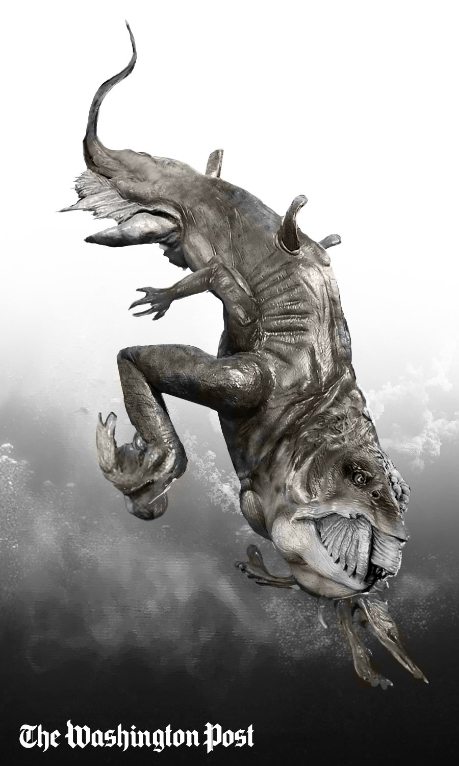 WTP The Host WIP copy.jpg