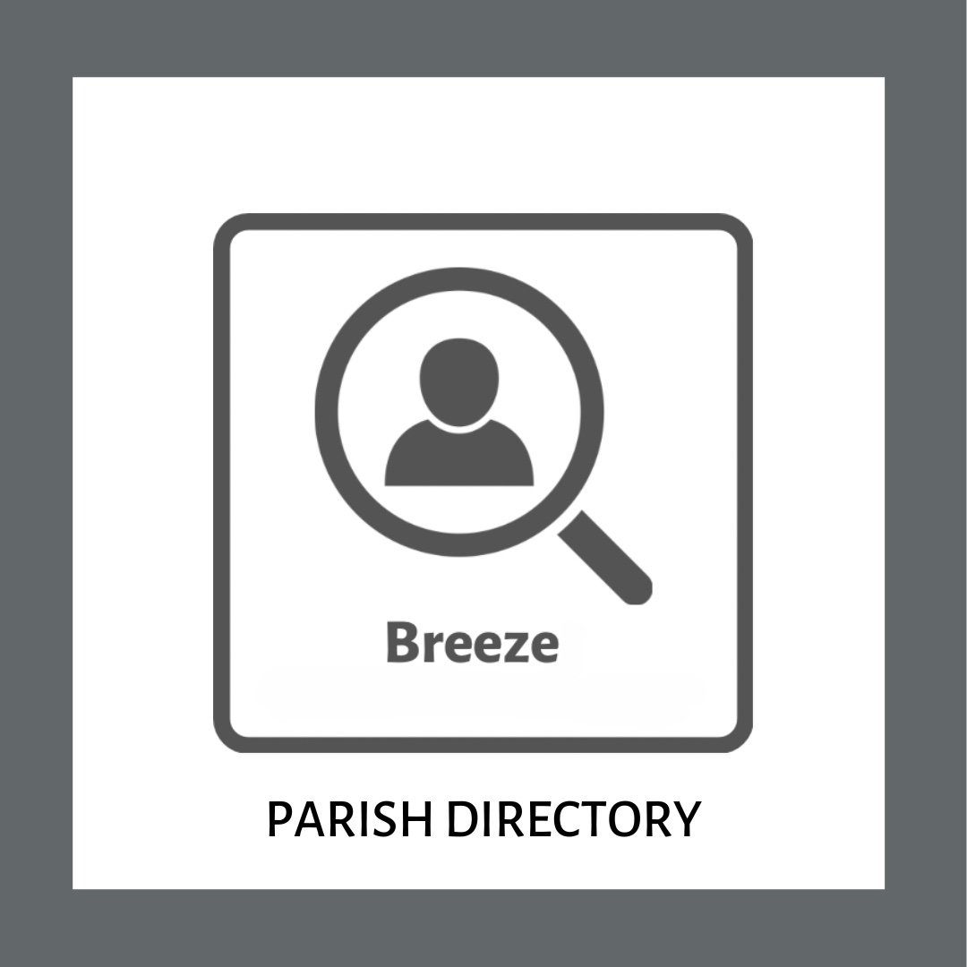 BREEZE website icon.jpg