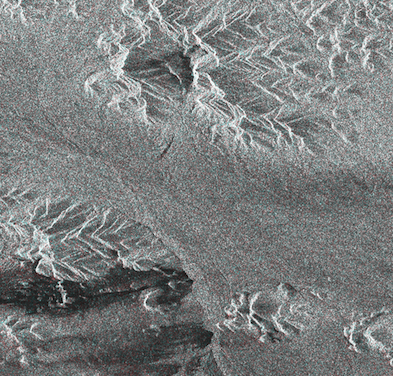 Example SAR Image
