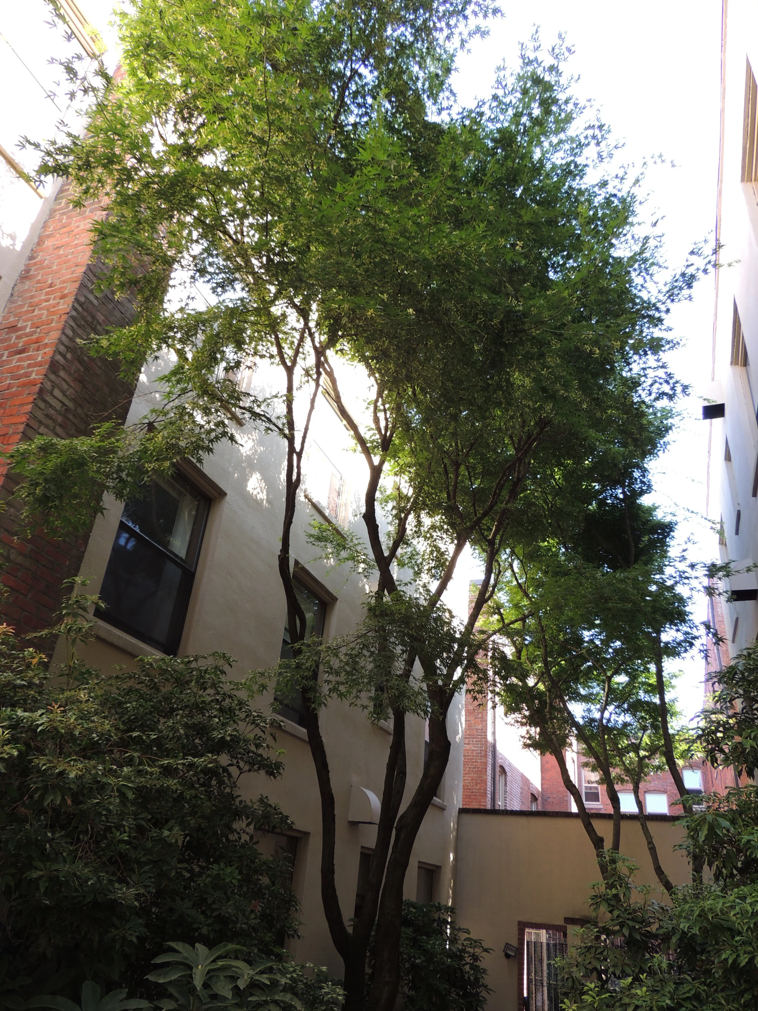 Yamhill at Sixth Apartments