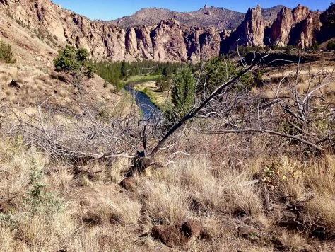 Smith Rock fire comes out of the canyon to cross the road