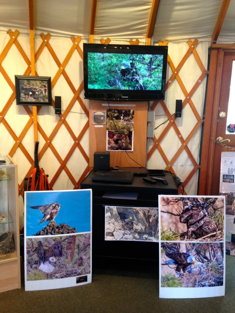 Smith Rock State Park Welcome Center Bald Eagle Exhibit