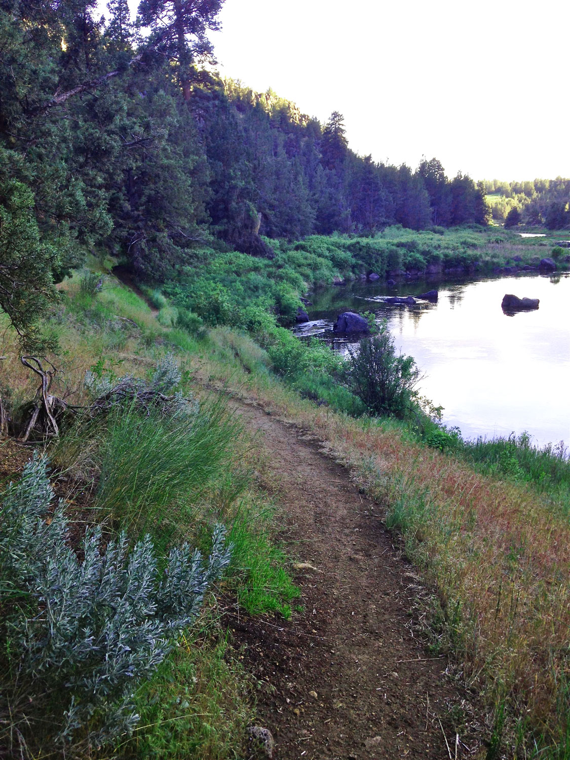 Canyon Trail as it bends around the Crooked River at Smith Rock State Park.