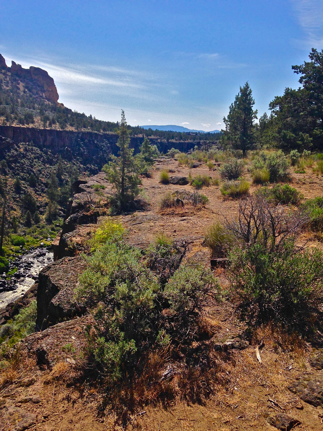 Continuing on the faint trails along the top of the river gorge affords great views.