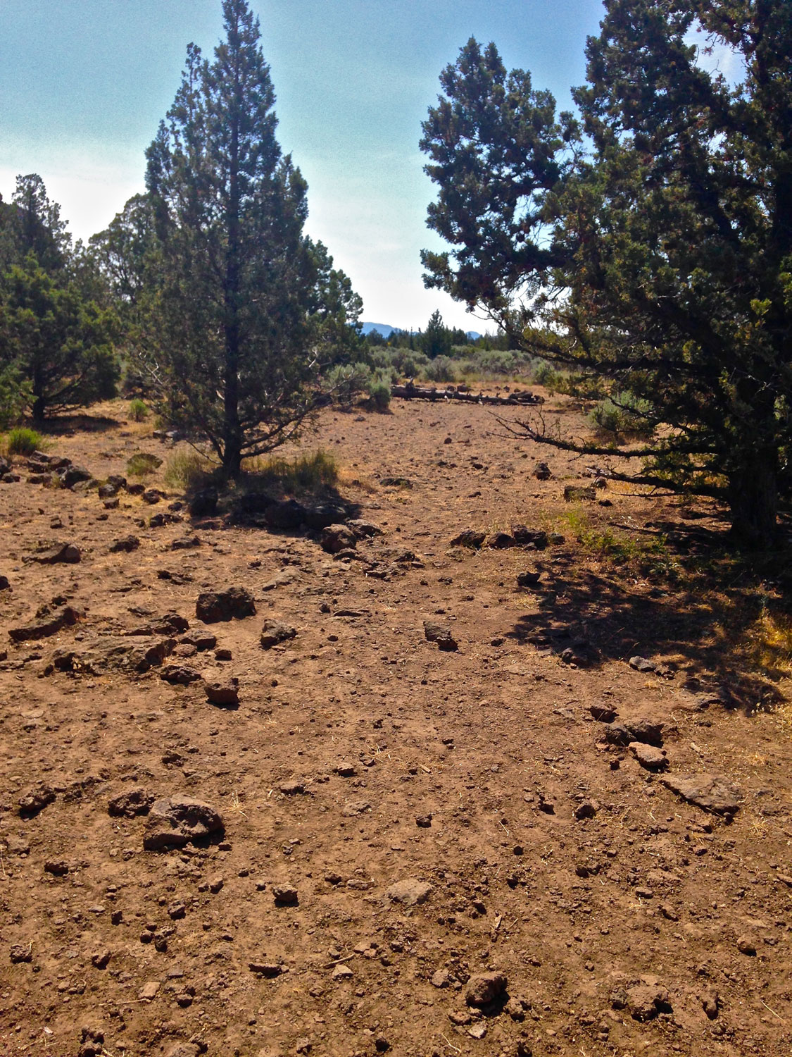 The path is again hard to distinguish at times, but you'll see it lead out to the parking area.