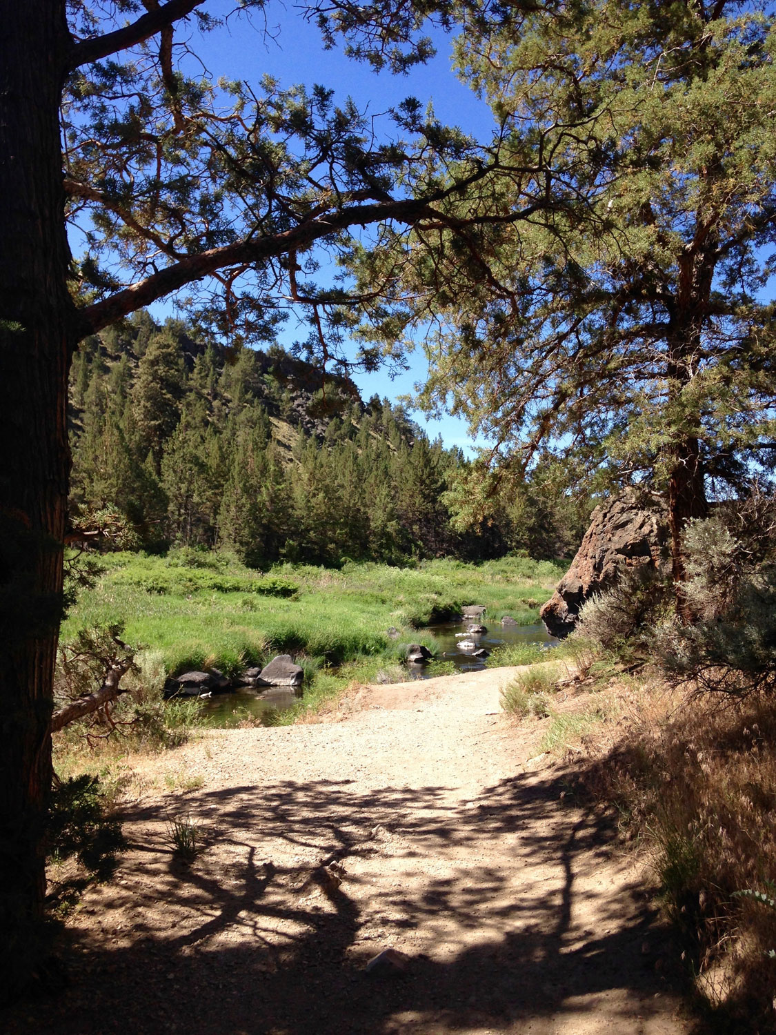 Horses can be seen fording the river as well as deer at the low points of the River Trail at Smith Rock State Park.