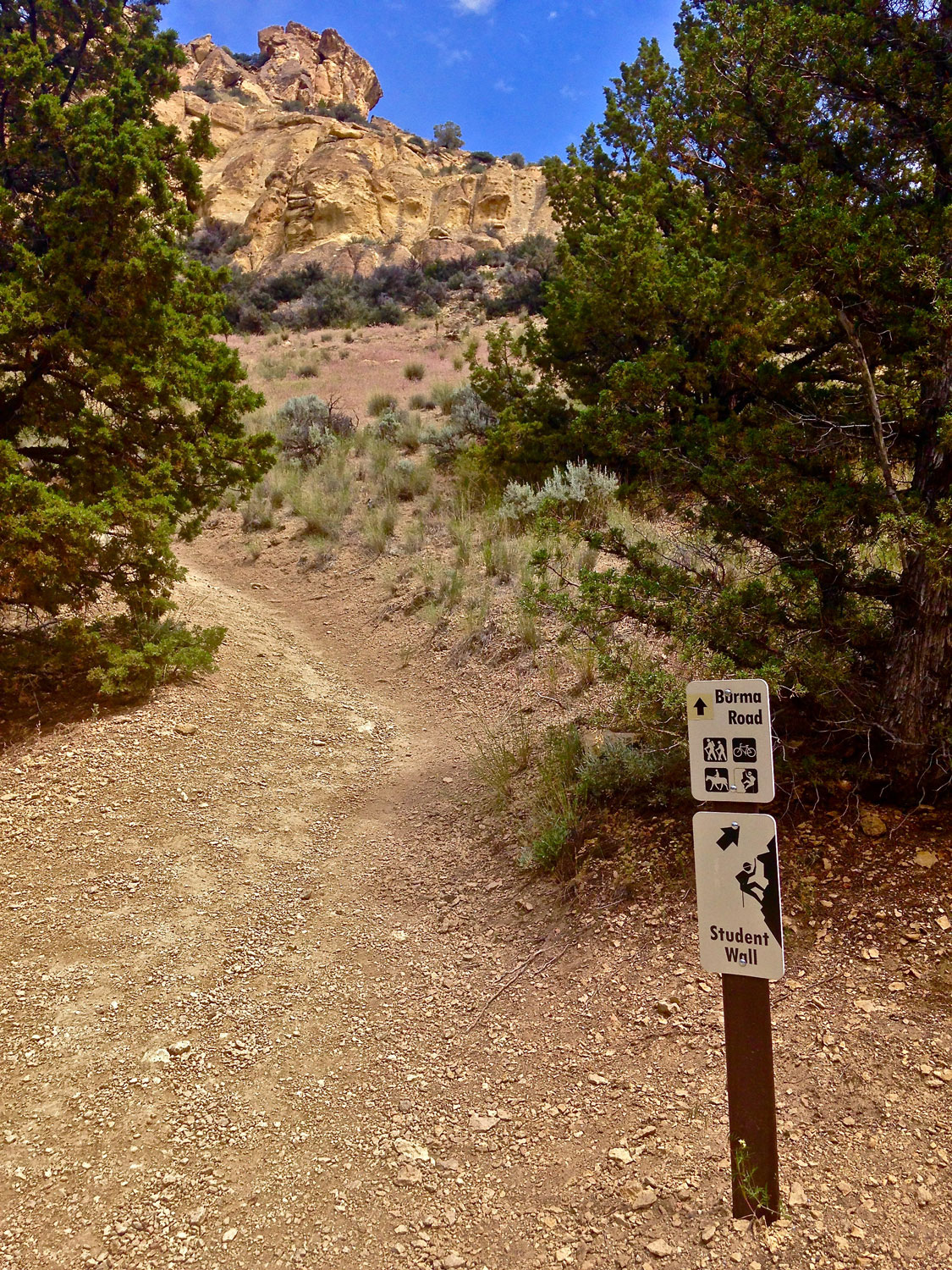 Start of the Burma Road Trail off the Wolf Tree Trail at Smith Rock State Park.