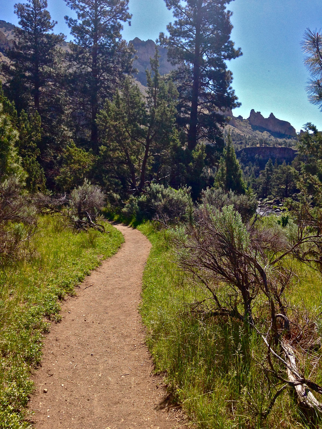 The Wolf Tree Trail pops out of the trees to great river views at Smith Rock State Park.