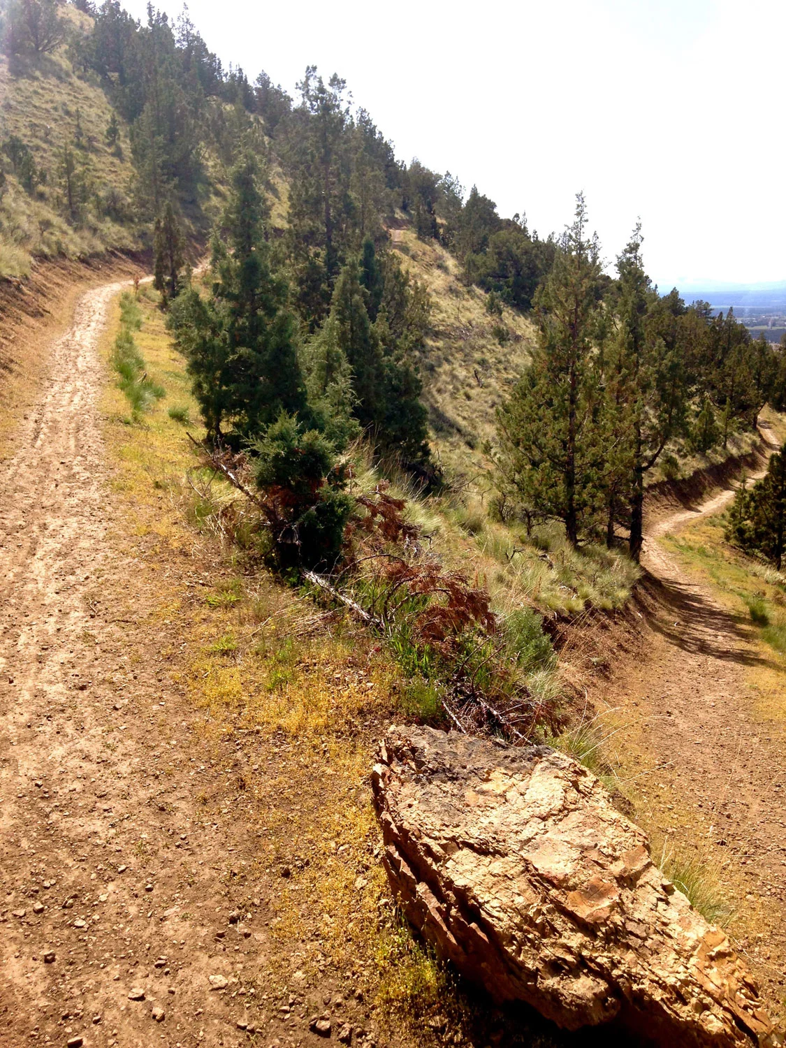 The famous switchbacks of the Summit Trail at Smith Rock State Park.
