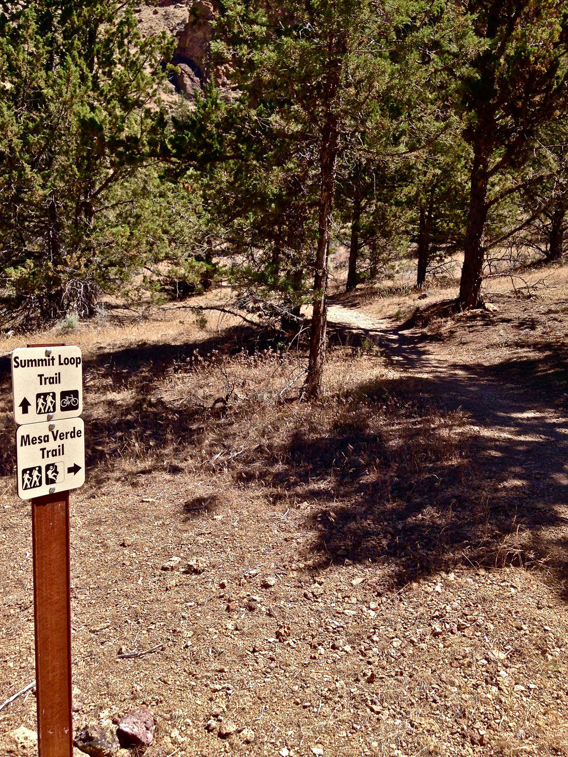 Continuing down the RIver Trail at Smith Rock State Park you come to the second junction of the Mesa Verde Trail.