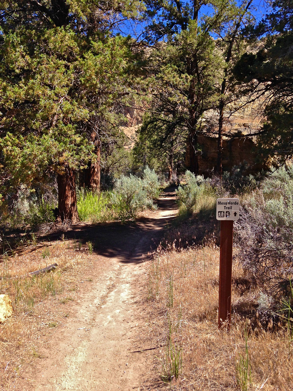 The Mesa Verde Trail after the second junction loops around to approach the back side of Monkey Face at Smith Rock State Park.