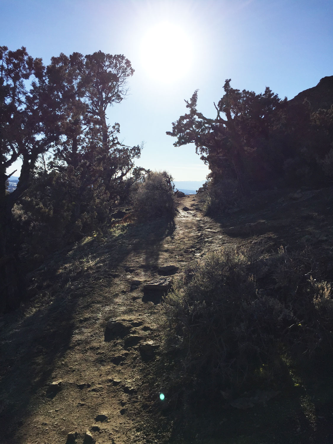 Junipers dot the ridgeline on the Misery Ridge Trail at Smith Rock State Park.
