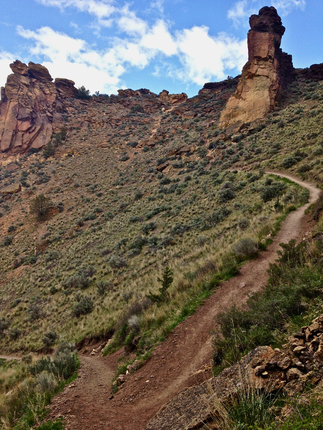 A Monkey Face look-alike is seen from the Misery Ridge Trail at Smith Rock State Park.