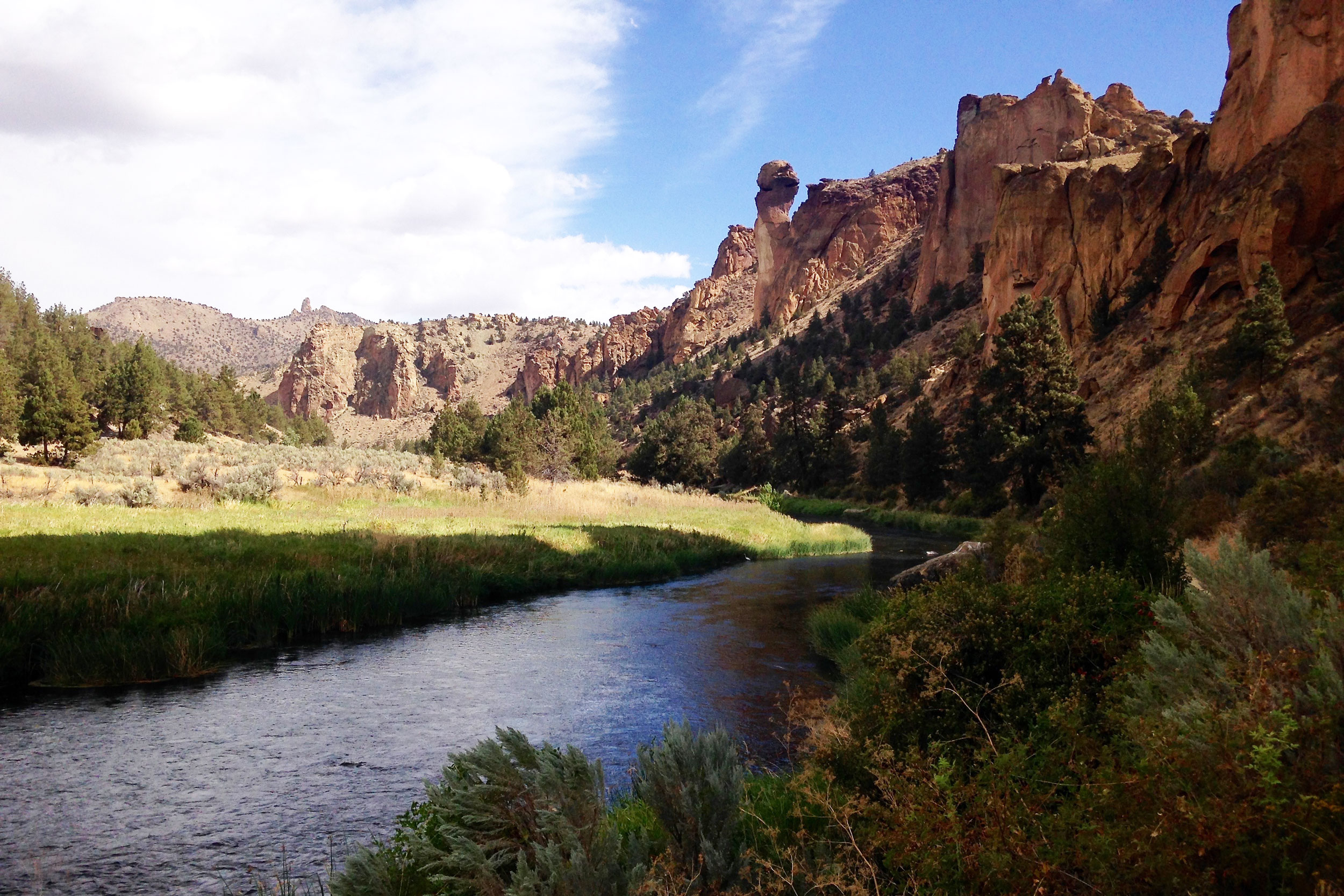 fall along the River Trail