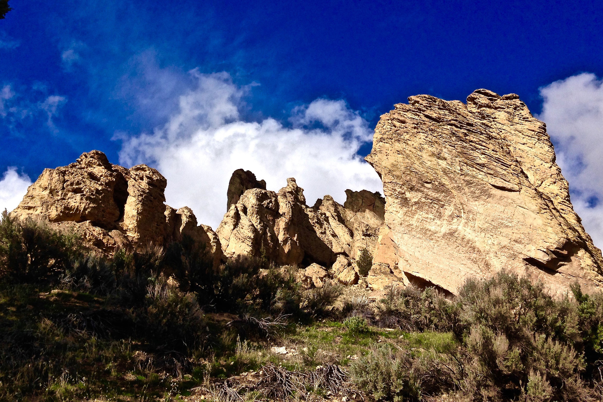 early spring Rim Rock Trail view