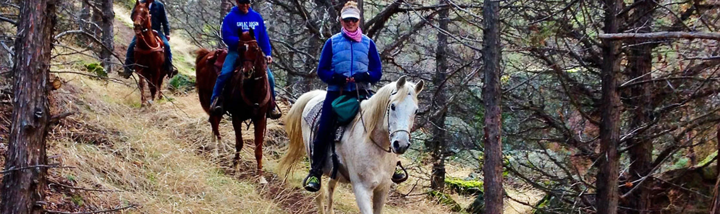 rvlotcanyontrailhorsebackridesmithrockstatepark